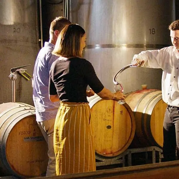 Barrel Tasting at Briar Ridge wines