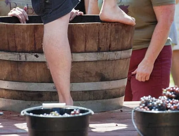 Grape Stomping - Hens Party Wine Tours Hunter Valley